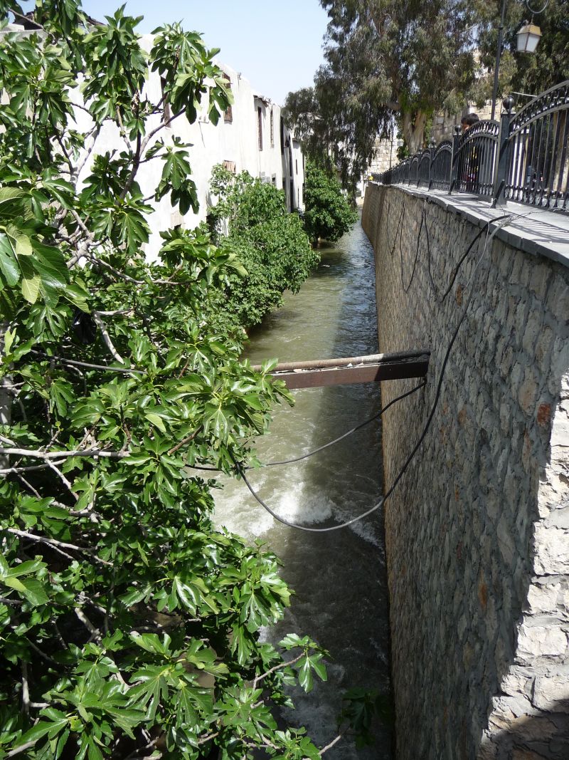 P1020833.JPG